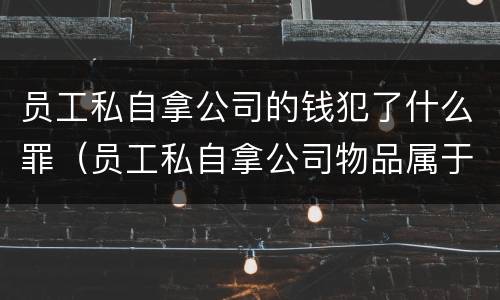 员工私自拿公司的钱犯了什么罪（员工私自拿公司物品属于什么行为）