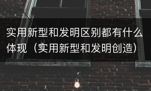 实用新型和发明区别都有什么体现（实用新型和发明创造）