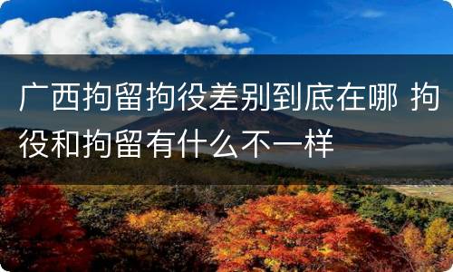 广西拘留拘役差别到底在哪 拘役和拘留有什么不一样