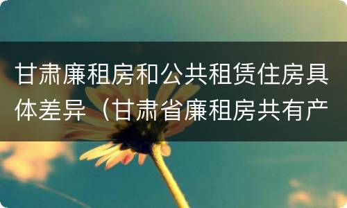 甘肃廉租房和公共租赁住房具体差异（甘肃省廉租房共有产权管理办法）