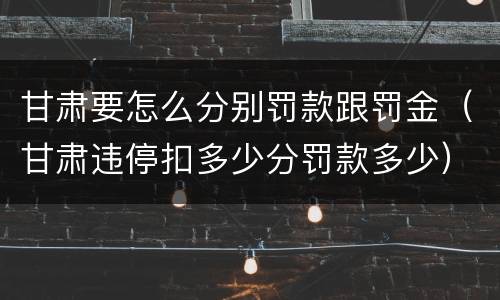 甘肃要怎么分别罚款跟罚金（甘肃违停扣多少分罚款多少）