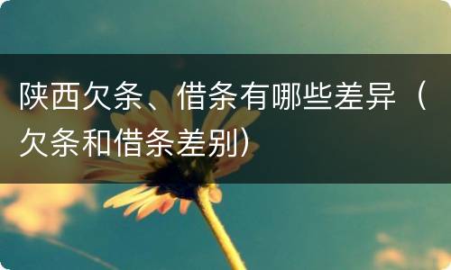 陕西欠条、借条有哪些差异（欠条和借条差别）