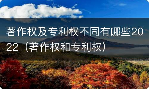 著作权及专利权不同有哪些2022（著作权和专利权）