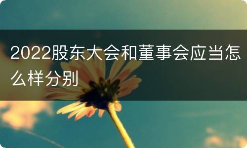 2022股东大会和董事会应当怎么样分别