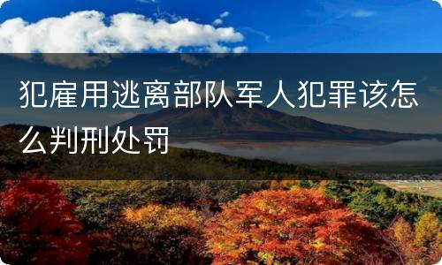 犯雇用逃离部队军人犯罪该怎么判刑处罚