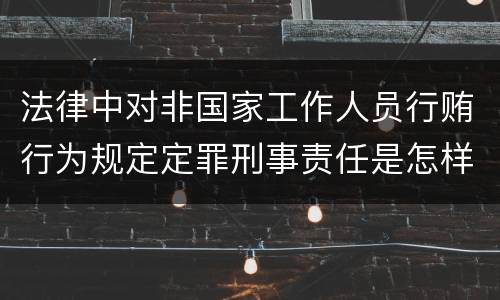 法律中对非国家工作人员行贿行为规定定罪刑事责任是怎样