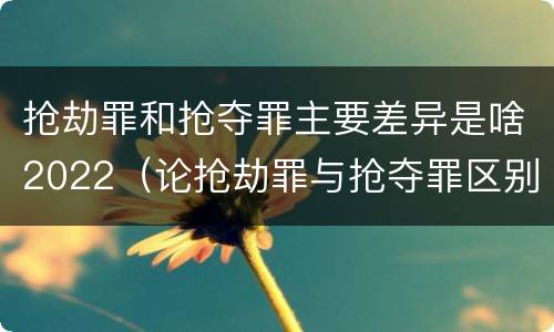 抢劫罪和抢夺罪主要差异是啥2022（论抢劫罪与抢夺罪区别）