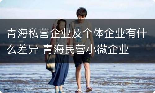 青海私营企业及个体企业有什么差异 青海民营小微企业