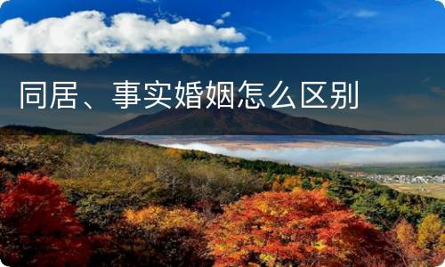 同居、事实婚姻怎么区别