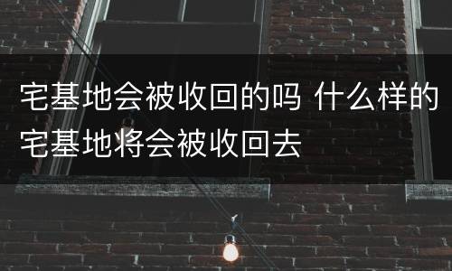 宅基地会被收回的吗 什么样的宅基地将会被收回去