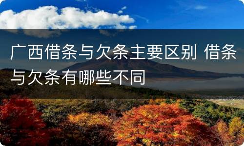 广西借条与欠条主要区别 借条与欠条有哪些不同