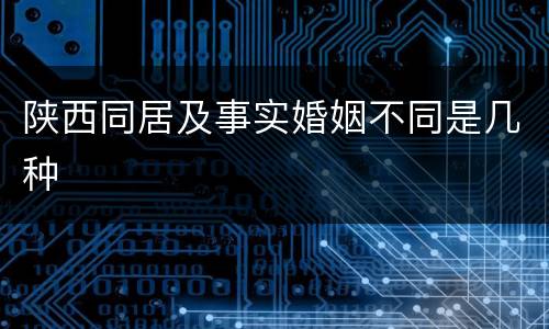 陕西同居及事实婚姻不同是几种