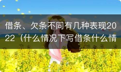 借条、欠条不同有几种表现2022（什么情况下写借条什么情况下写欠条）
