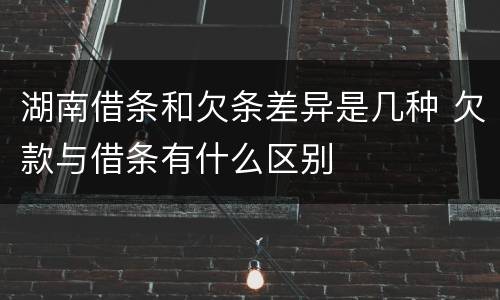 湖南借条和欠条差异是几种 欠款与借条有什么区别