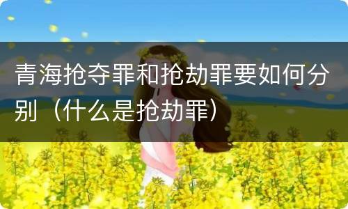 青海抢夺罪和抢劫罪要如何分别（什么是抢劫罪）
