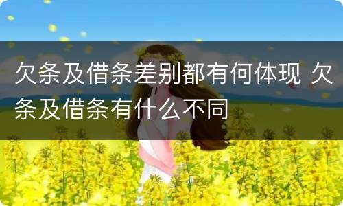 欠条及借条差别都有何体现 欠条及借条有什么不同