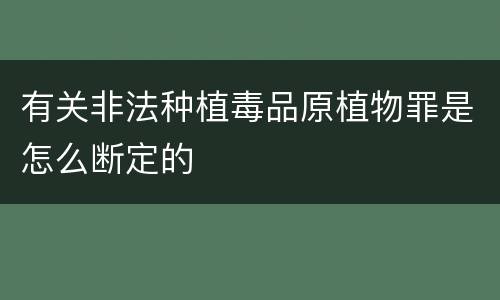 有关非法种植毒品原植物罪是怎么断定的