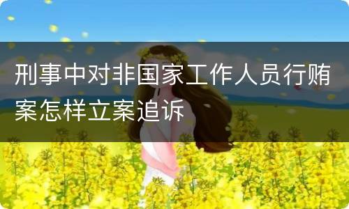 刑事中对非国家工作人员行贿案怎样立案追诉