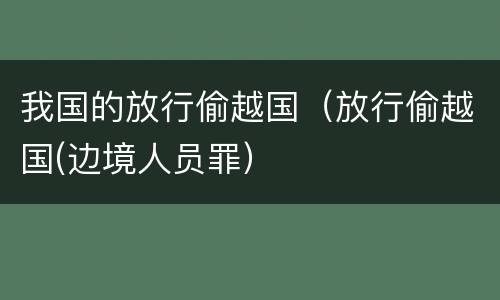 我国的放行偷越国（放行偷越国(边境人员罪）