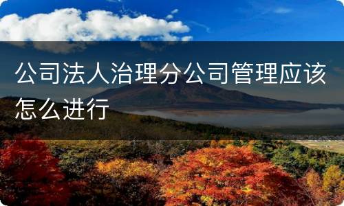 公司法人治理分公司管理应该怎么进行