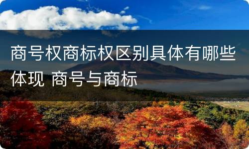 商号权商标权区别具体有哪些体现 商号与商标