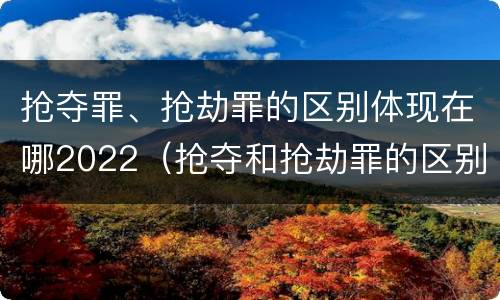 抢夺罪、抢劫罪的区别体现在哪2022（抢夺和抢劫罪的区别）
