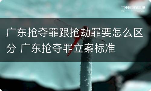 广东抢夺罪跟抢劫罪要怎么区分 广东抢夺罪立案标准