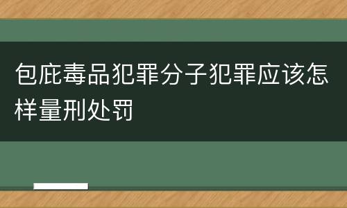 包庇毒品犯罪分子犯罪应该怎样量刑处罚