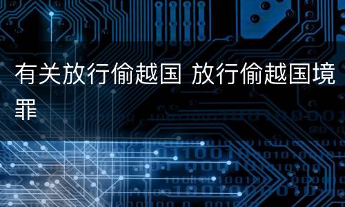 有关放行偷越国 放行偷越国境罪