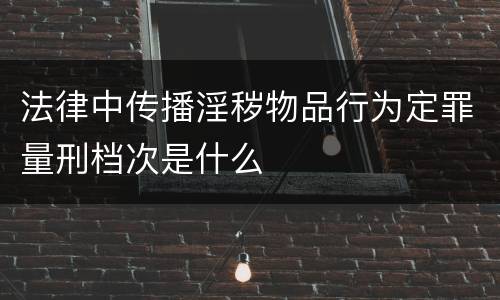 法律中传播淫秽物品行为定罪量刑档次是什么