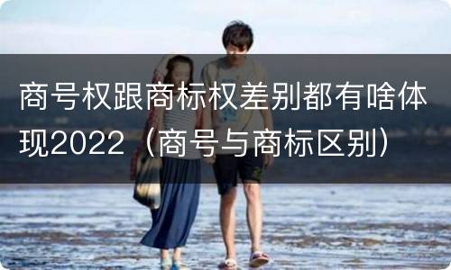 商号权跟商标权差别都有啥体现2022（商号与商标区别）