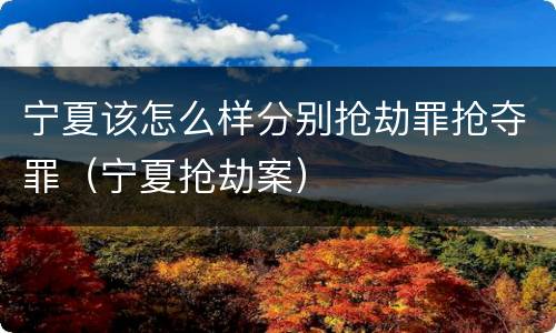 宁夏该怎么样分别抢劫罪抢夺罪（宁夏抢劫案）