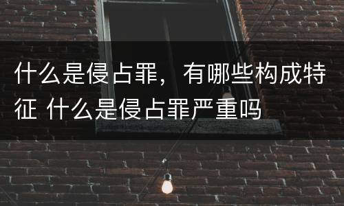 什么是侵占罪，有哪些构成特征 什么是侵占罪严重吗