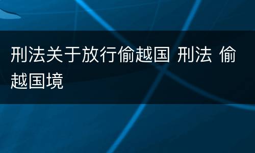 刑法关于放行偷越国 刑法 偷越国境