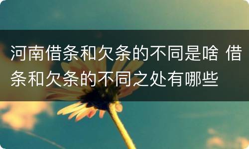 河南借条和欠条的不同是啥 借条和欠条的不同之处有哪些