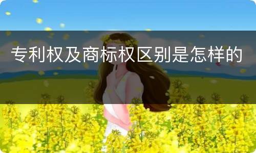 专利权及商标权区别是怎样的