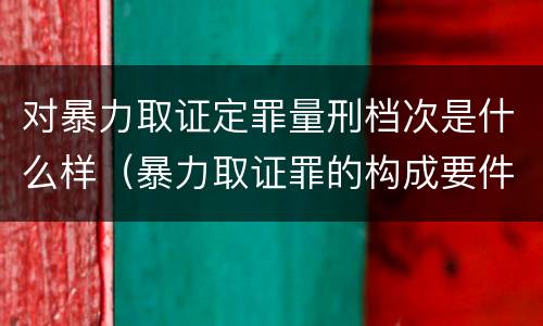 对暴力取证定罪量刑档次是什么样（暴力取证罪的构成要件）