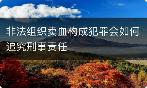 非法组织卖血构成犯罪会如何追究刑事责任