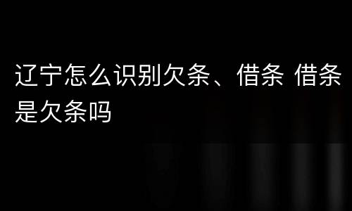 辽宁怎么识别欠条、借条 借条是欠条吗