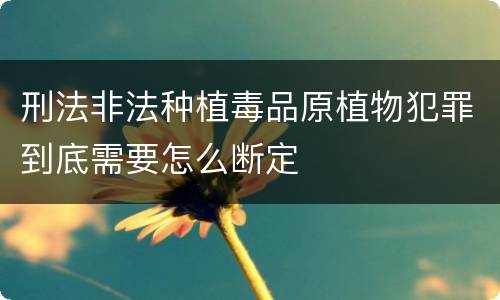 刑法非法种植毒品原植物犯罪到底需要怎么断定