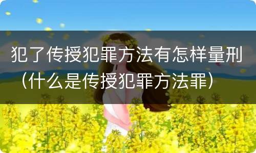 犯了传授犯罪方法有怎样量刑（什么是传授犯罪方法罪）