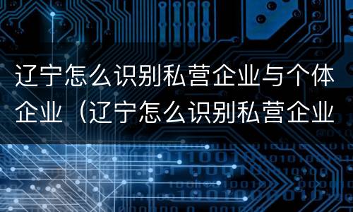 辽宁怎么识别私营企业与个体企业（辽宁怎么识别私营企业与个体企业的区别）