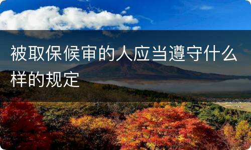 被取保候审的人应当遵守什么样的规定