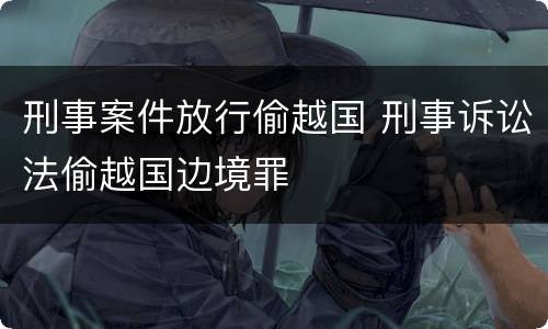 刑事案件放行偷越国 刑事诉讼法偷越国边境罪