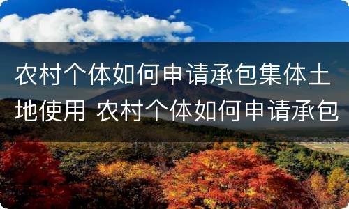 农村个体如何申请承包集体土地使用 农村个体如何申请承包集体土地使用权证