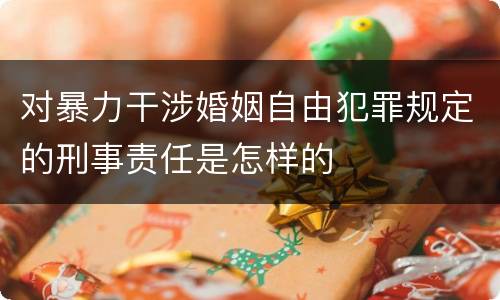 对暴力干涉婚姻自由犯罪规定的刑事责任是怎样的