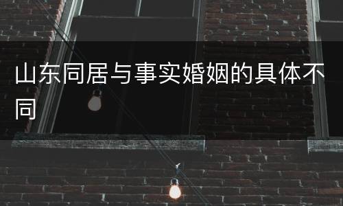 山东同居与事实婚姻的具体不同