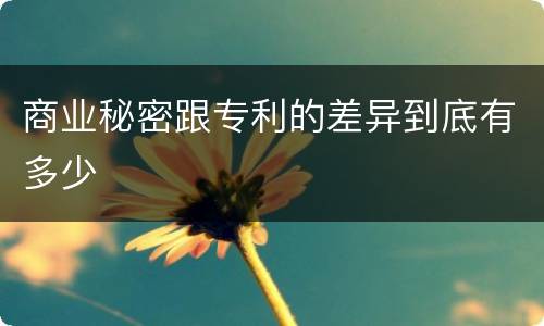 商业秘密跟专利的差异到底有多少