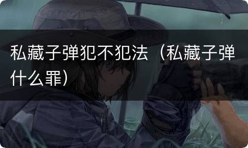 私藏子弹犯不犯法（私藏子弹什么罪）