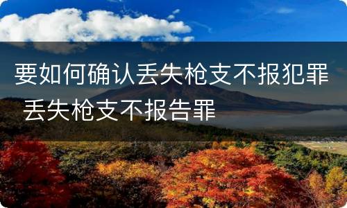 要如何确认丢失枪支不报犯罪 丢失枪支不报告罪